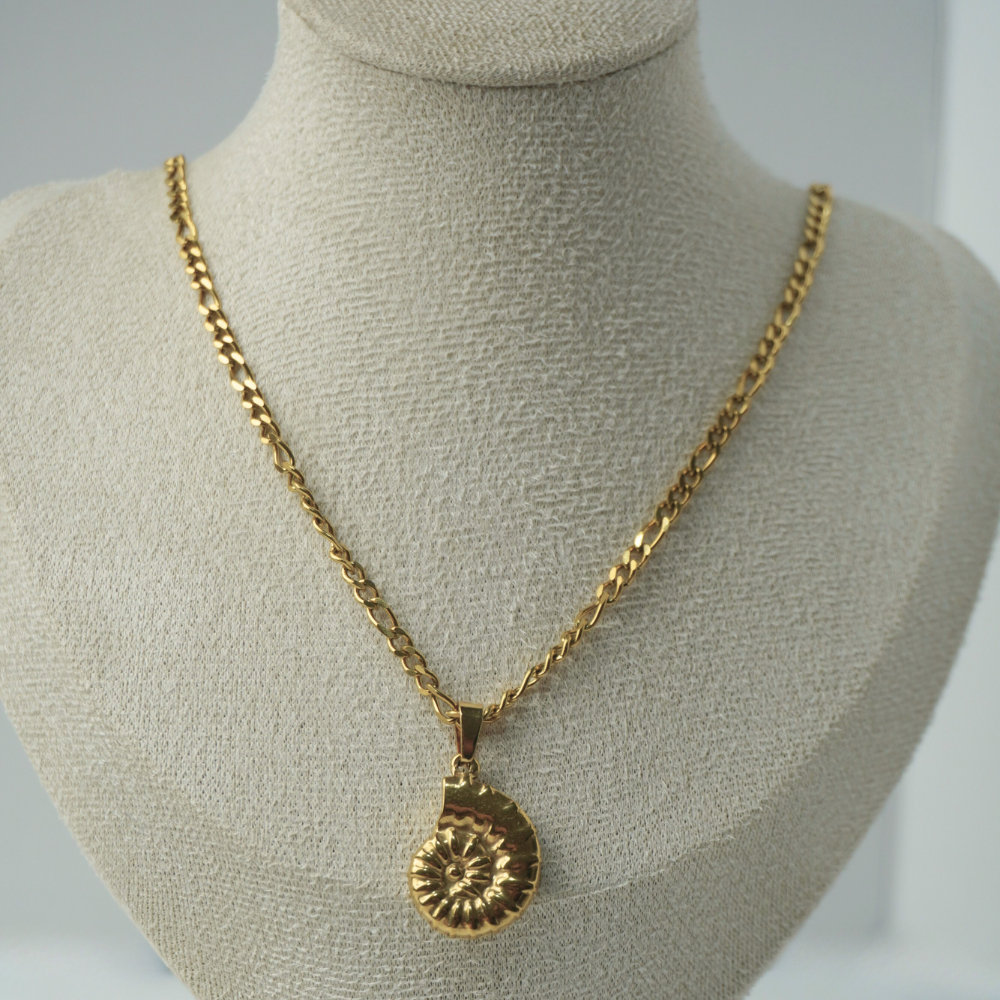 seashell chain necklace
