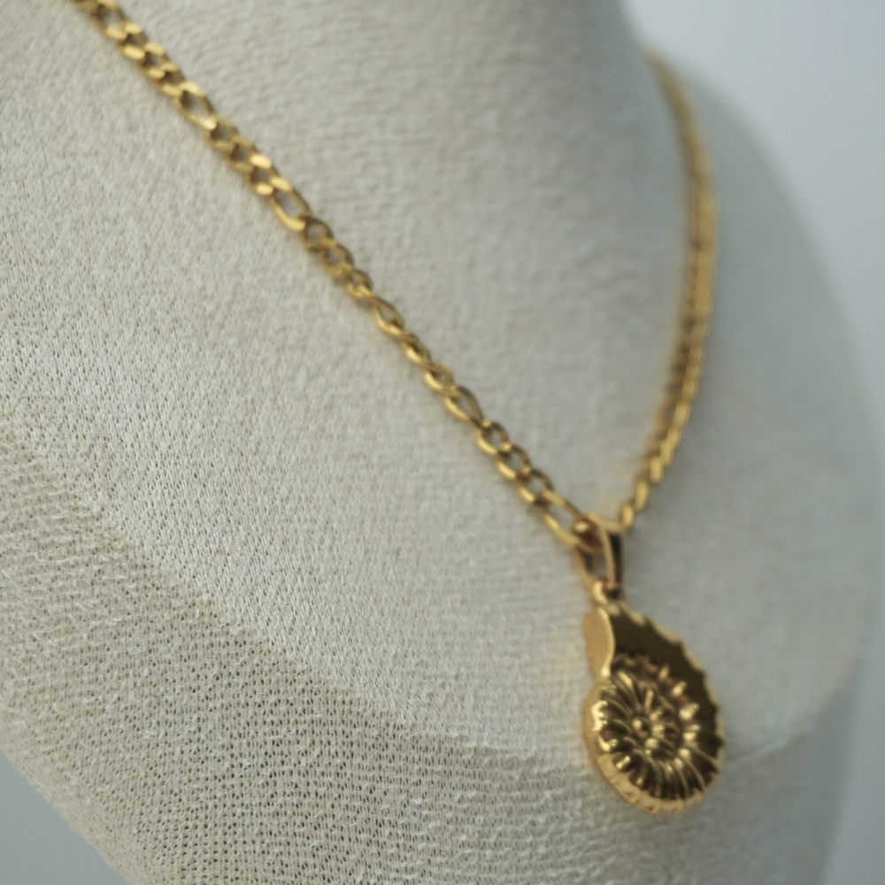 seashell chain necklace