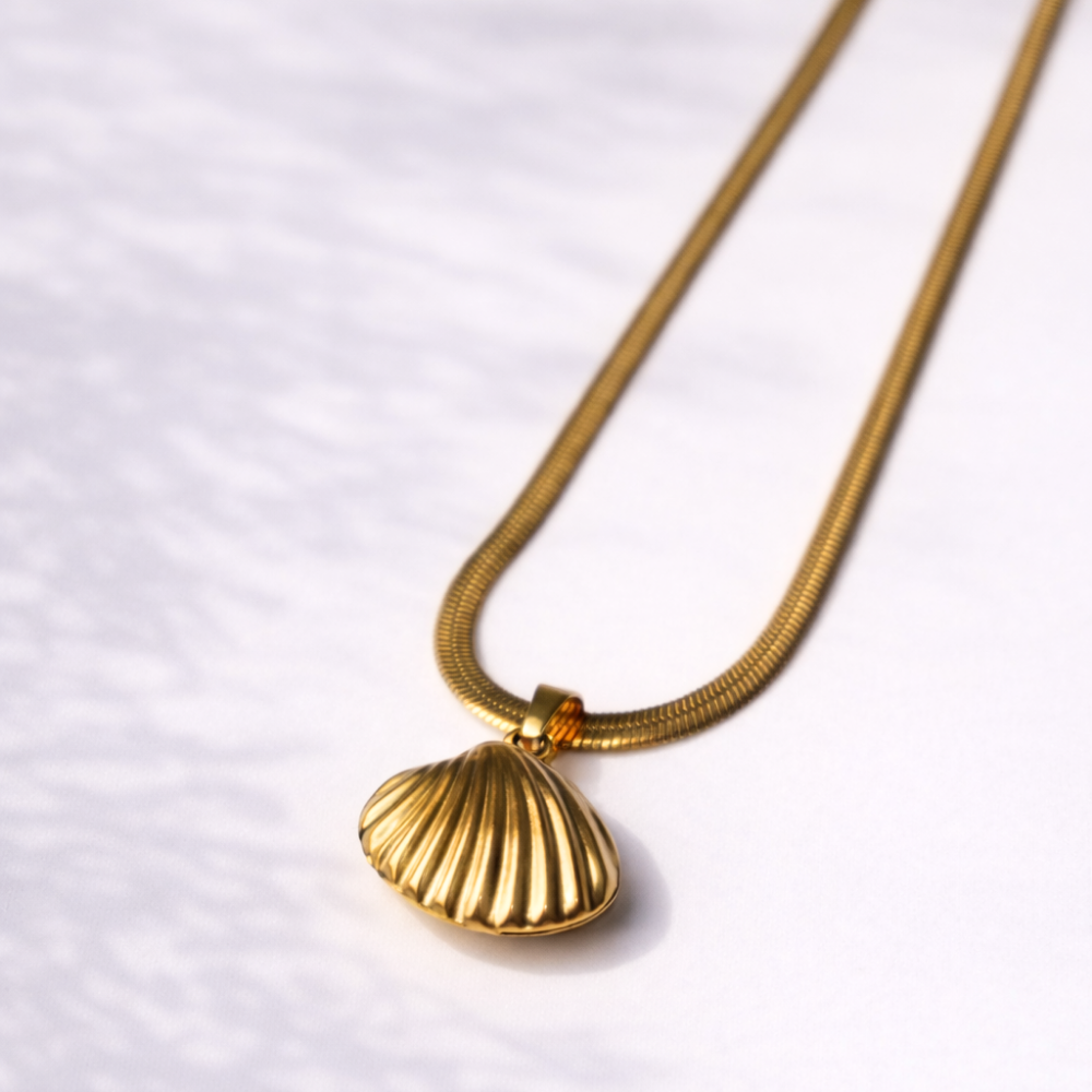Gold necklace with a shell pendant on a white background