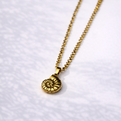 Gold necklace with a seashell pendant on a white background