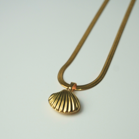 seashell snake chain necklace